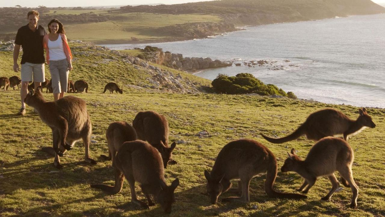 Kangaroo Island Seafront Hotell Penneshaw Exteriör bild